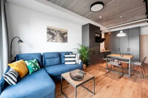 5-guest suite with balcony at the Ž. Arena - Image 4