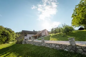 Vineyard cottage Radulja - Image 2
