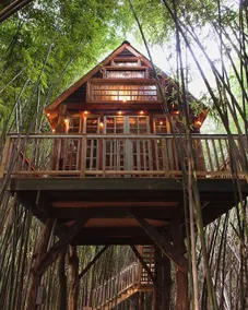 Alpaca Treehouse in the Bamboo Forest - Image 5