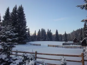 Chalet Pokljuka Vital, Slovenia - Image 5