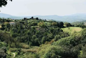 Charming place with a fireplace nearby Saturnia - Image 2