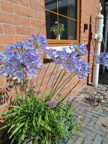 The Stables Cottage. Your home from home! - Image 4