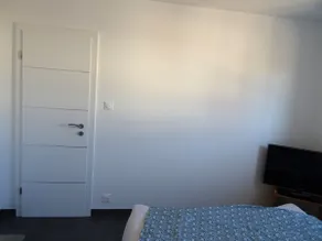 Bedroom/bathroom/fridge/microwave in large house - Image 4