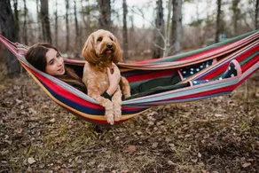 Little Retreat in the Forest | Gimli | Camp Morton - Image 5