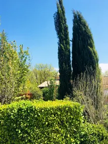 Charming Provençal Villa with Pool nearby - Image 3