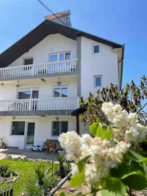 Private accommodation Andrejevic - Image 2
