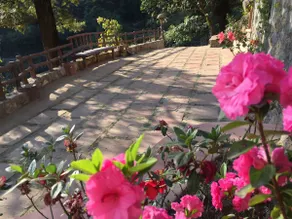 Sadhana Forest Villa (nestled in the hills) - Image 4