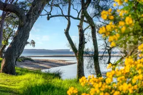 Tapalla Point at Huskisson - Image 5