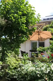 The Punga studio in Titirangi bush-garden setting - Image 4