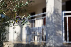 Adria Holiday Home - Image 4