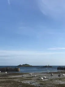 Roscoff 3-Room Apartment with Incredible Sea View - Image 3