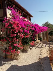 peaceful relaxing home and garden. Ela pansiyon. - Image 3