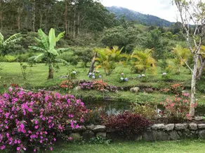 Romantic getaway A birdwatchers paradise - Image 4