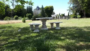 In the heart of the Loire Valley's castles and vineyards - Image 3