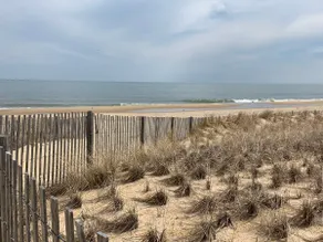 TOWNSAND 1 block to ocean 1 block to dine/imbibe - Image 3