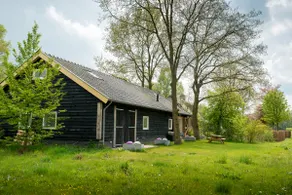 Ravennest - Image 3