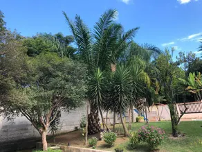 Farmhouse near the Sanctuary of Aparecida - Image 4