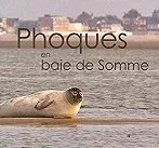 Le Riquier in Baie de Somme - - Image 5