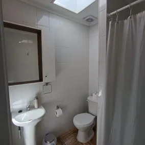 Green Apartment: Your Base to Explore Valdivia - Image 2