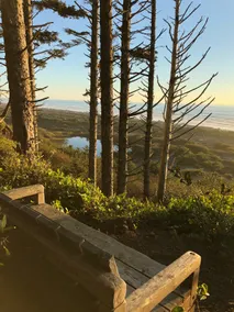 Oceanfront Olympic Cabin— Secluded & Vast (2BR) - Image 4