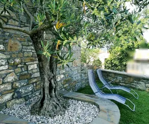 Wine House Rakar - Image 3