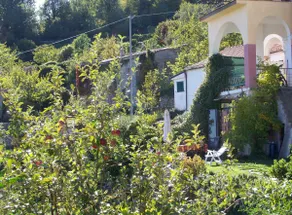 Casa Euphoria - Image 5
