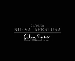 Calm Suites 1-bedroom apartment in Centro - Image 3