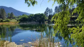 Our Mountain Retreat on Linden Drive - Image 5