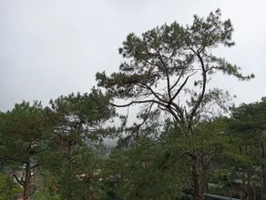 Serenity House - Image 5