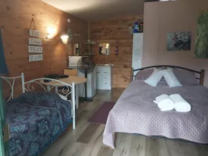 Cozy self-contained cabin - Image 2