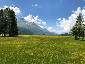 Chesa Chaviolas - Erdgeschoss - Image 2