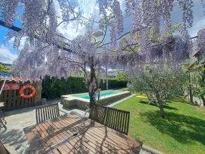 Living in Douro: Zé has already slept here - Image 2