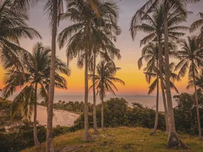 A modern tropical home surrounded by nature. - Image 4