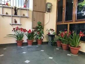 ParkViewVirat Khand Gomtinagar2bhkfully furnished. - Image 3