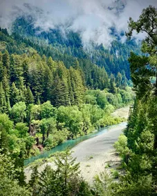 Avenue of the Giants River View Home (#1) - Image 4