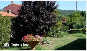 I Limoni - Image 2