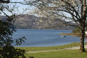 Tigh Bhaan, Ardnamurchan, Loch Shore House - Image 3