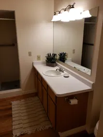 Sleeps 21 | Pet/Handicap Friendly | Fenced Yard - Image 4