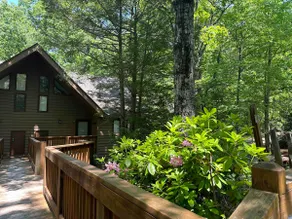 Wintergreen Escape | King Bed + Porch Views - Image 2