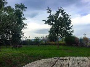 La Dolce Vita Country House – Solicchiata - Image 3