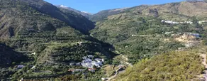 Soportujar Country House - Bayacas - Image 4