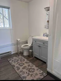 Constant Lake Cottage, sand beach - Image 5