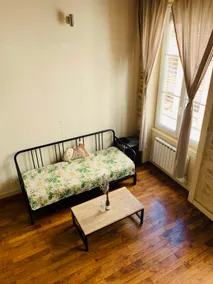 Historical neighborhood in the heart of Lyon • French wooden beams, retro and cozy loft • Accommodates four guests at a time - Image 5