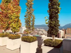 Bright Modern 2BR | Rooftop Terrace | Parking - Image 4