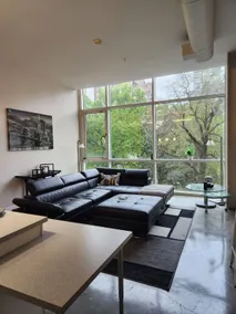 Downtown Contemporary/Luxury Design Condo - Image 2