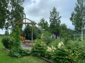 Henrik's Time Machine - relax in nature - Image 3