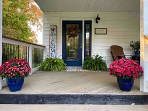 Amish Paradise - Image 3