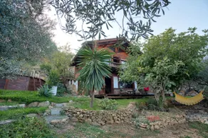 Cabin among olive trees - Image 2