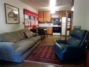 Silver Fox Cabin - Image 2