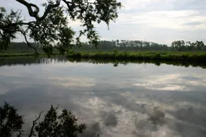 Just Available! Waterfront haven 40 min to NOLA - Image 4